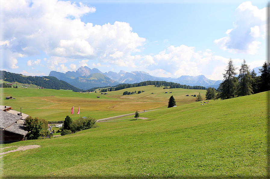 foto Alpe di Siusi